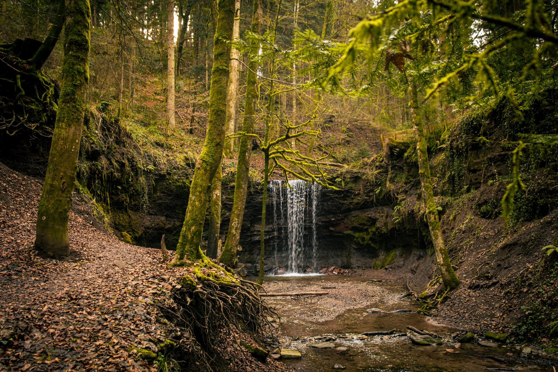 Hoerschbachwasserfall_Winter_2025_020_c_SMG_Sarah_Schmid